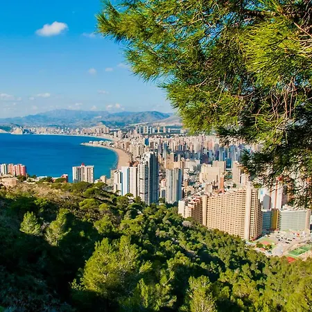 Moby Dick By Wt Benidorm