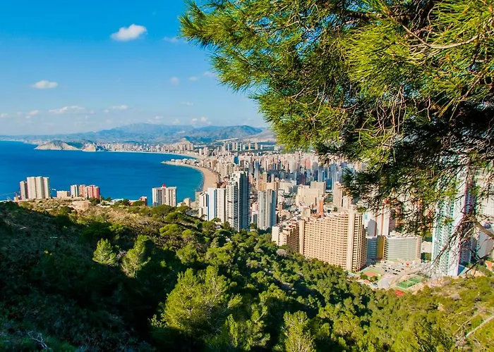 Moby Dick By Wt Benidorm